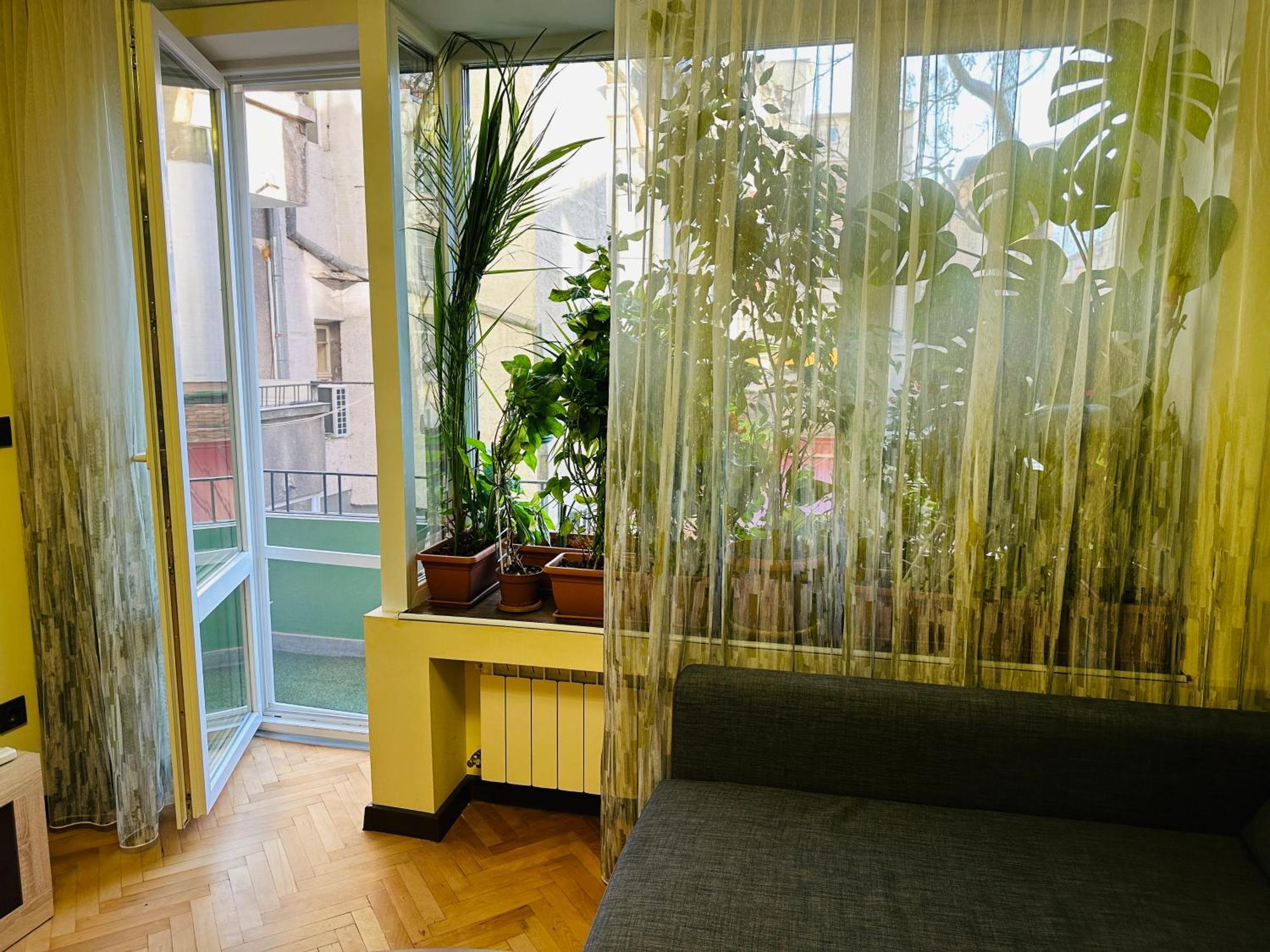 Luxury Oasis In Absolute Center Of Sofia Apartment Bagian luar foto